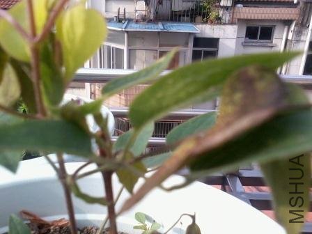 2012-05-22 07.07.13.jpg
