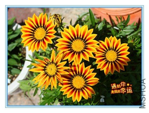 ��Ƭ 016_����ѫ1_��ת.jpg