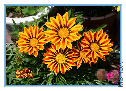 ��Ƭ 021_��ѫ2.jpg