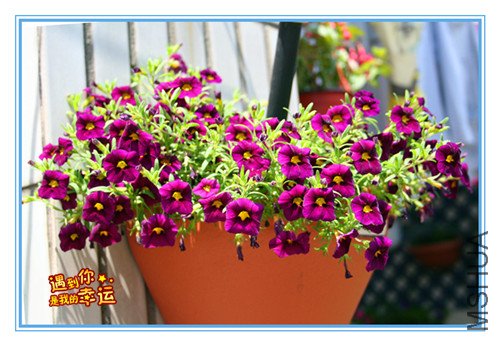 ��Ƭ 038_���������.jpg