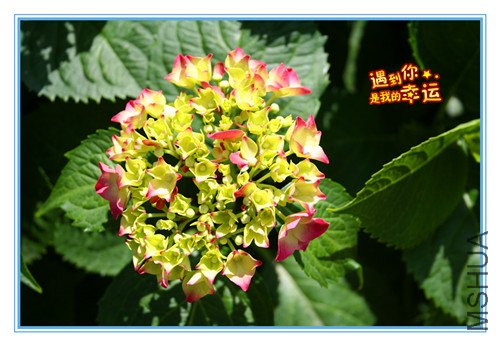 ��Ƭ 034_����3.jpg