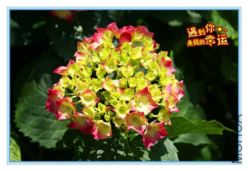 ��Ƭ 035_������1.jpg