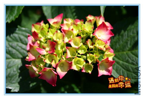 ��Ƭ 036_����2.jpg