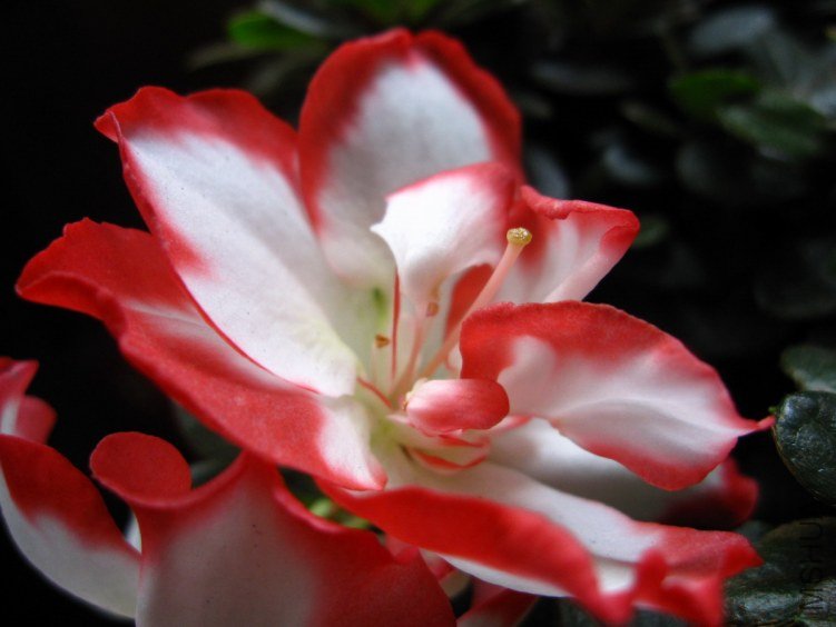 ��Ƭ 0131.JPG