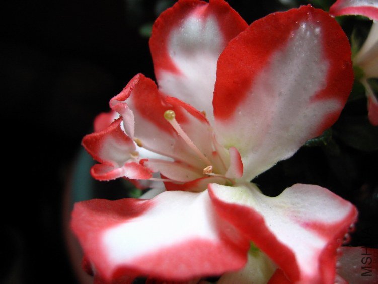 ��Ƭ 0151.JPG