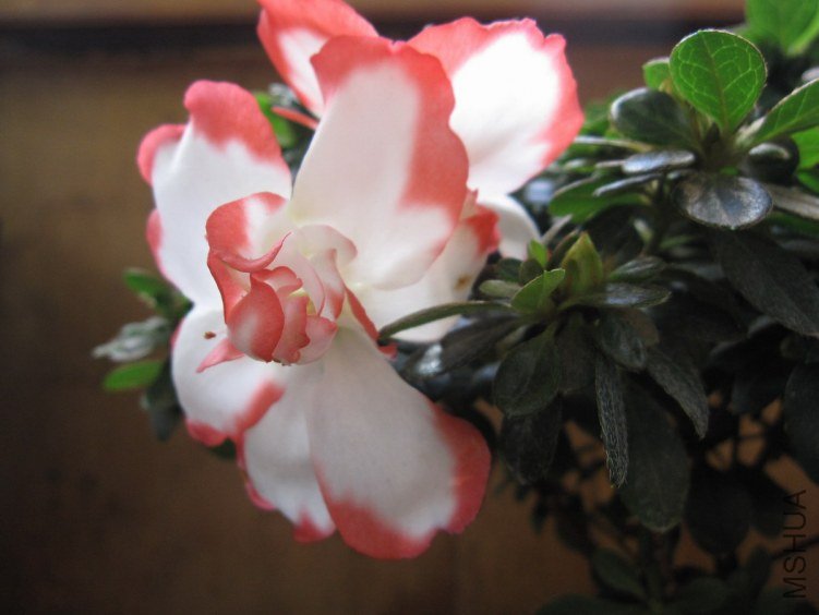 ��Ƭ 0301.JPG