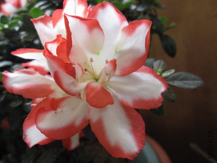 ��Ƭ 0311.JPG