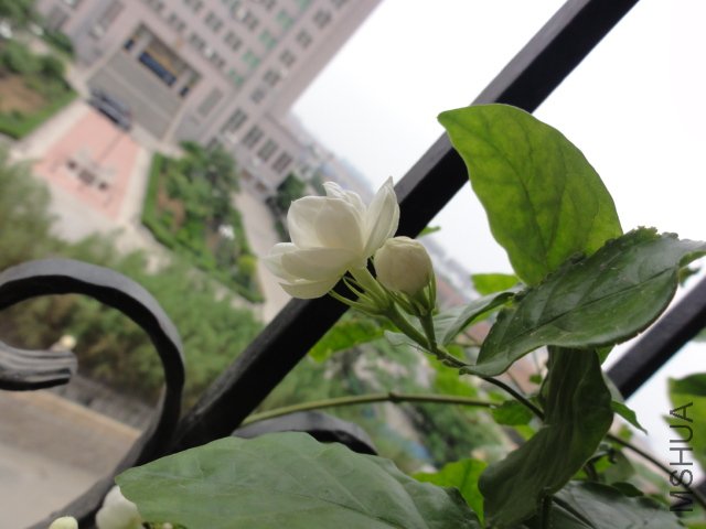 DSC01576.JPG