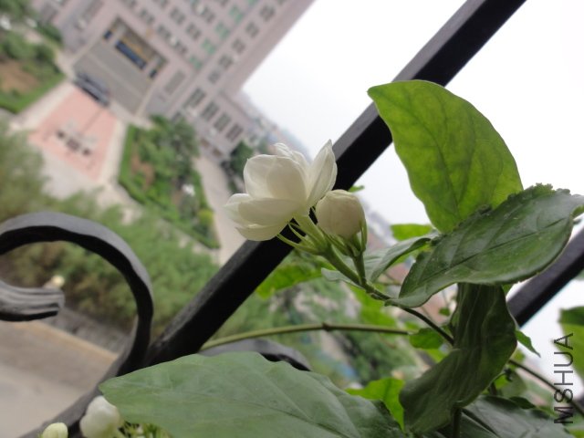 DSC01577.JPG