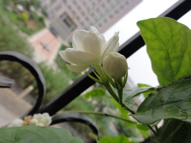 DSC01584.JPG