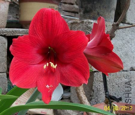 ��Ƭ 068.jpg