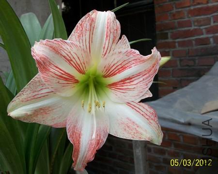 ��Ƭ 088.jpg