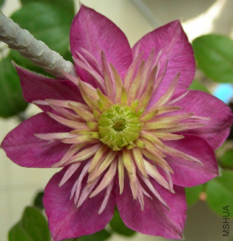 DSCN7957.JPG