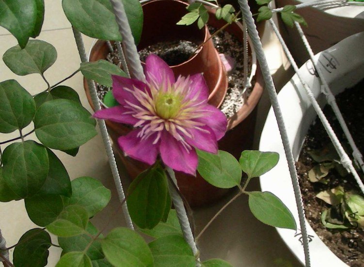 DSCN7958.JPG