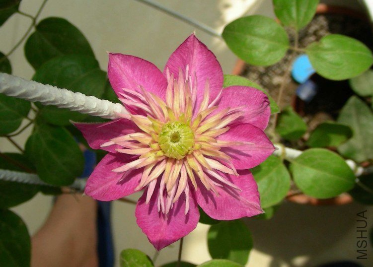 DSCN7959.JPG