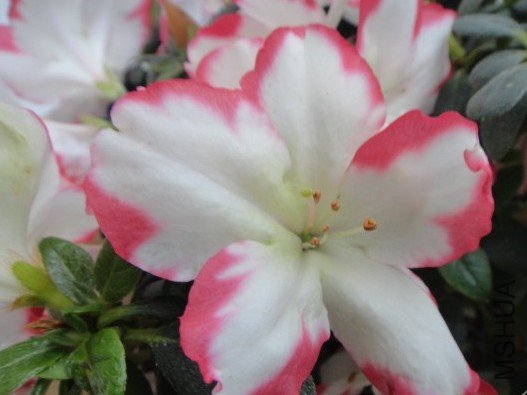 QQ��ͼ20120523125425.jpg