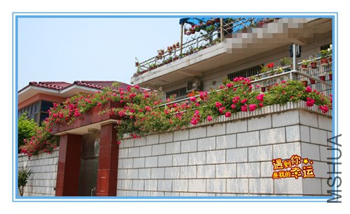 ��Ƭ 010_����ǽ1.jpg