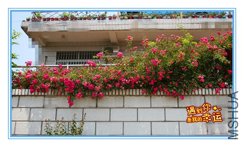 ��Ƭ 014_��ǽ3.jpg