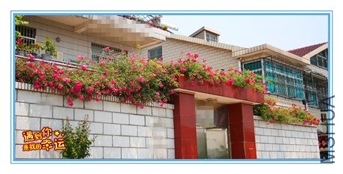 ��Ƭ 017_��ǽ2.jpg