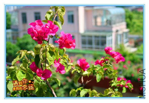 ��Ƭ 053_����.jpg