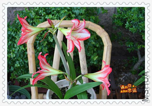 ��Ƭ 043_������4.jpg