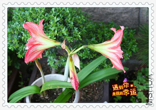 ��Ƭ 044_����5.jpg