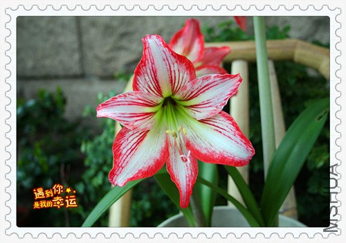 ��Ƭ 046_����7.jpg