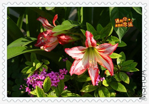 ��Ƭ 047_����2.jpg