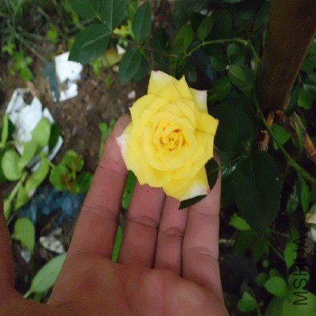 CIMG1215_����.jpg