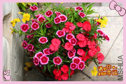 ��Ƭ 029_����ʯ1.jpg