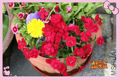 ��Ƭ 030_��ʯ2.jpg