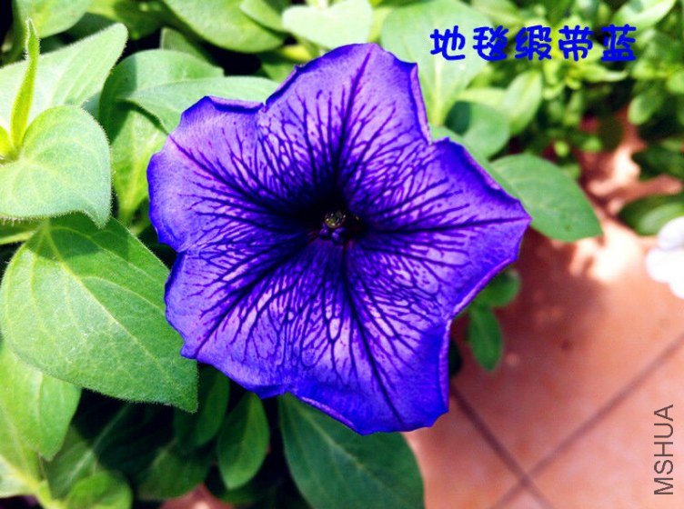 ��Ƭ 012_����.jpg