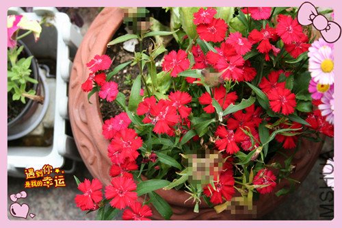 ��Ƭ 031_��ʯ3.jpg