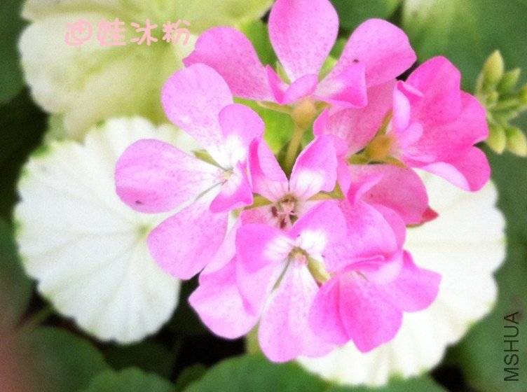 ��Ƭ 014_����.jpg