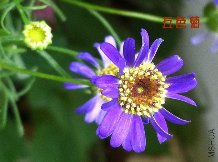 ��Ƭ 010_����.jpg