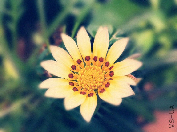 ��Ƭ 011_����.jpg