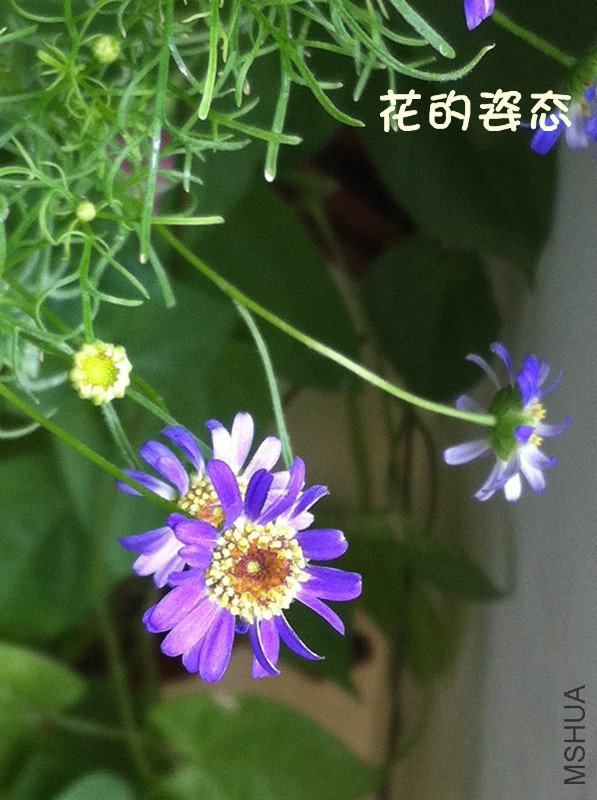 ��Ƭ 019_����.jpg