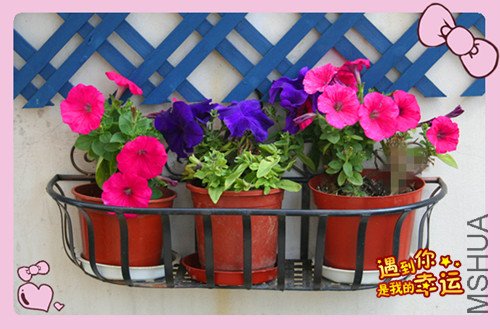 ��Ƭ 155_����ţ1.jpg