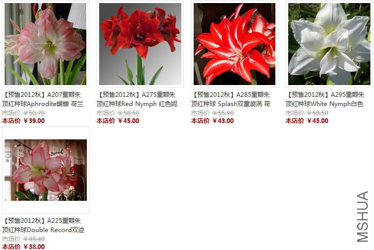 �ذ�3.JPG