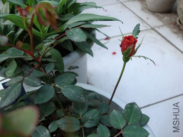 nEO_IMG_DSC01192.jpg