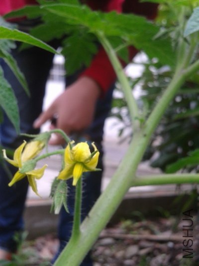 2012-05-24 11.06.04_������С.jpg