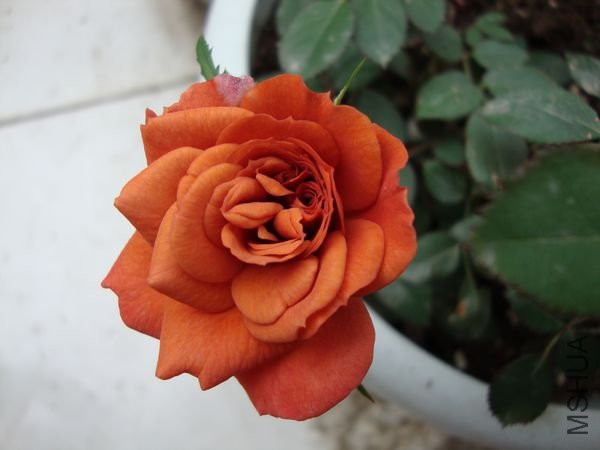 nEO_IMG_DSC01197.jpg