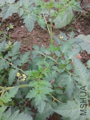 2012-05-24 11.07.22_������С.jpg