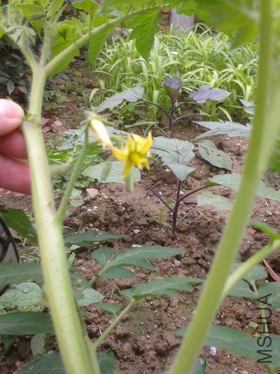 2012-05-24 11.07.39_������С.jpg