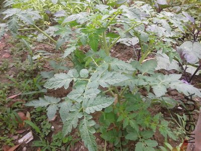 2012-05-24 11.08.10_������С.jpg