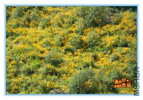 ��Ƭ 118_����.jpg