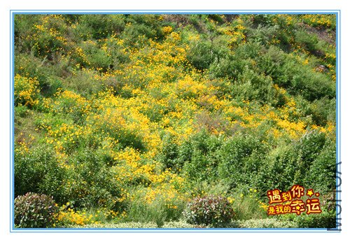 ��Ƭ 127_��ɽ3.jpg