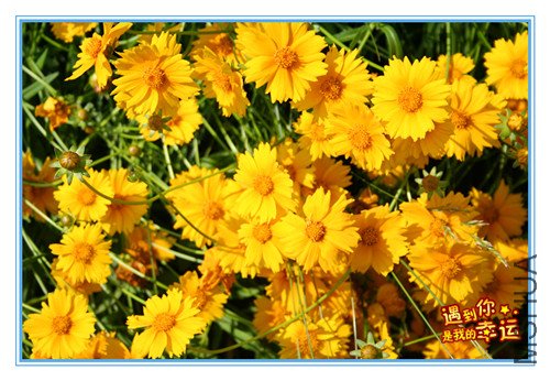 ��Ƭ 123_��ɽ4.jpg