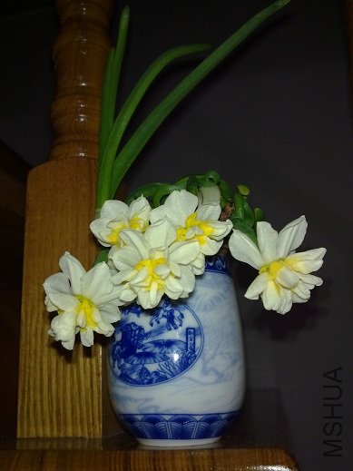 20120127038xiao.jpg