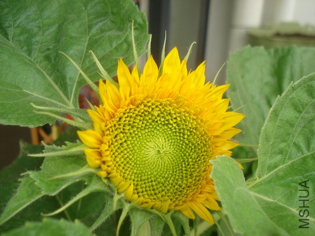 DSC03962.JPG